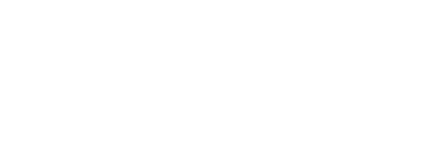 BAMI — Brick & Mortar Investments